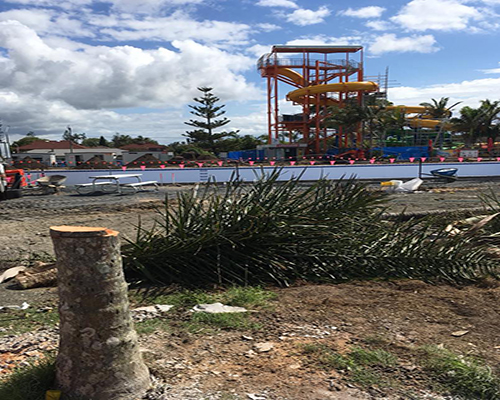 after picture of tree cutting with playground in the background - tree cutting ballina