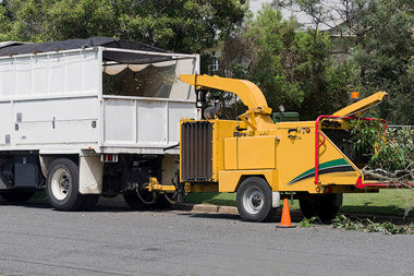 Wood Chipping — Summerland Tree Services in Byron Bay