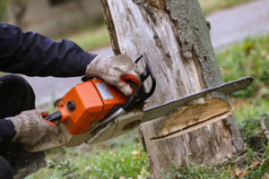 Cutting Tree With A Chainsaw — Summerland Tree Services in Ballina, NSW