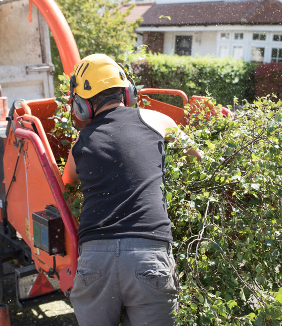 Worker Using Industrial Wood Chipping Machine — Tree Services in Byron Bay