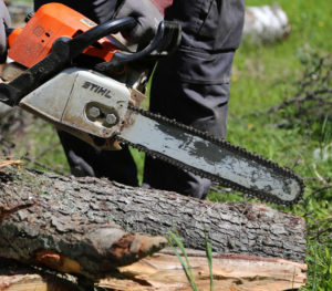 Man Using A Chainsaw — Summerland Tree Services in Lismore, NSW