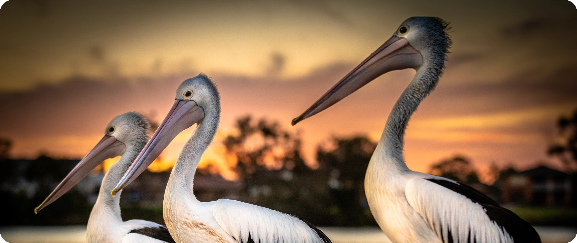 Evans Head (slider 2 )