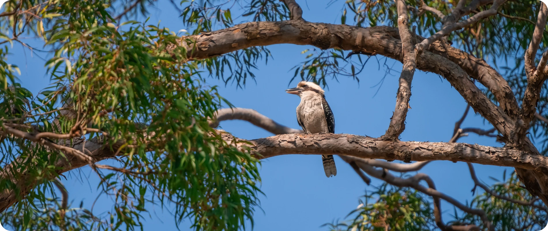Lennox Head (slider 3)