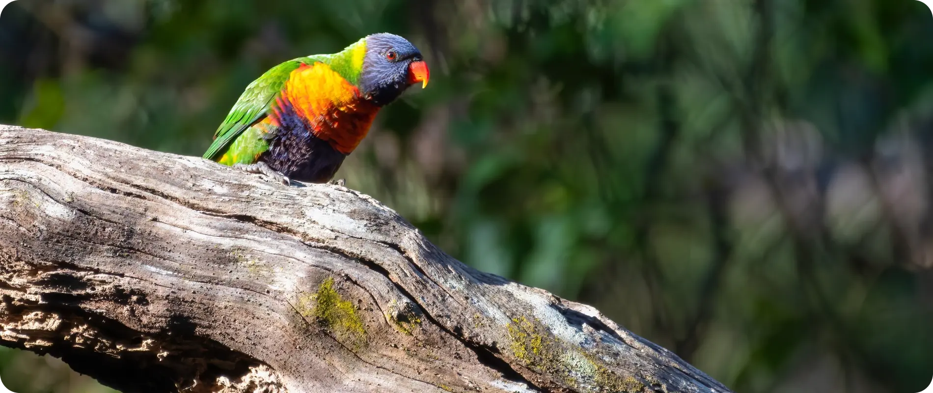 byron-bay-slider-image-2