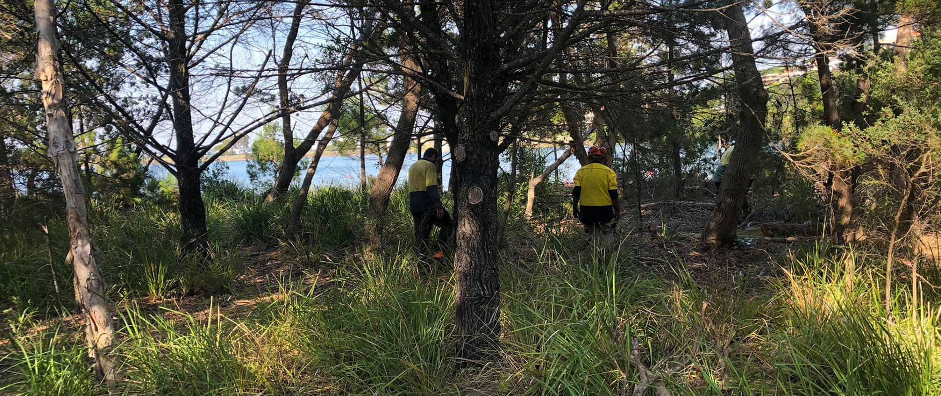 slider-banner-image-final